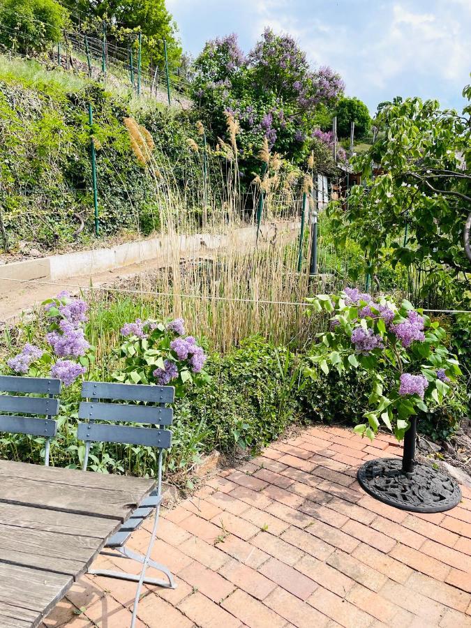 Ferienwohnung Am Elberadweg Meißen Eksteriør bilde